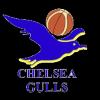 https://img.jingyuzhiboe.com.cn/img/basketball/team/0d36b73786230e17d7d718ab10adab87.png