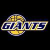 https://img.jingyuzhiboe.com.cn/img/basketball/team/3b4ec30e0bc04a014b6f5290bc485e49.png
