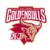 https://img.jingyuzhiboe.com.cn/img/basketball/team/d1d77f07287fe840a7e77459e5bd1bfc.png