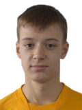 https://img.jingyuzhiboe.com.cn/img/football/player/12f09bbfdcf6c86a703655091c38d646.png