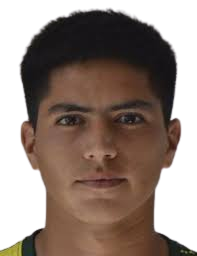 https://img.jingyuzhiboe.com.cn/img/football/player/593ada0d7956416c62dcbb7289ee303b.png