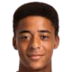 https://img.jingyuzhiboe.com.cn/img/football/player/8c064344aa7323f4a7004c63564ecdd7.png