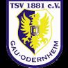 https://img.jingyuzhiboe.com.cn/img/football/team/0425718c842cc1330a6507bdde3c1da4.png