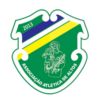https://img.jingyuzhiboe.com.cn/img/football/team/079dd394cc2355231bb0aee65bd140a2.png