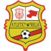 https://img.jingyuzhiboe.com.cn/img/football/team/1cd995bdc2b652d31129d027afb27ed8.png