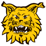 https://img.jingyuzhiboe.com.cn/img/football/team/9f170a9ffc15b4141b790f4ff042cc51.png